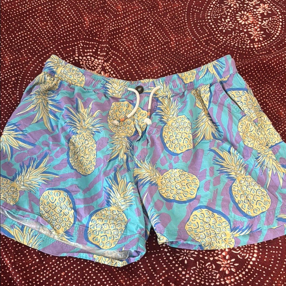 Pineapple Print Men’s Shorts - Multicolor